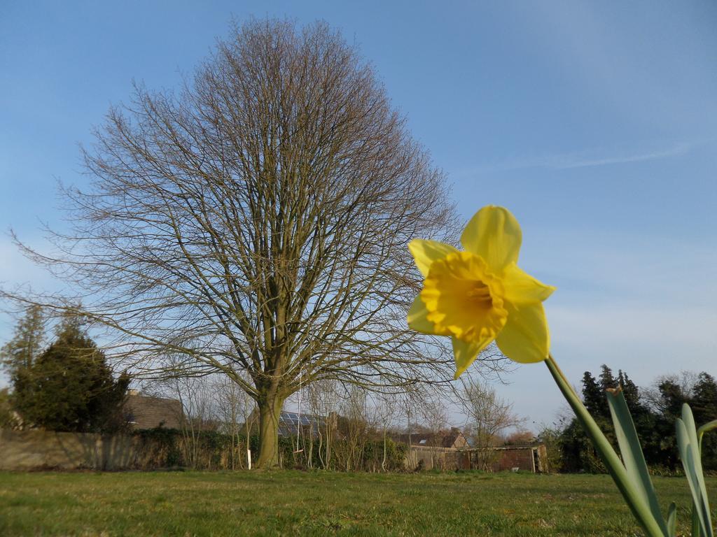 Villa Bijenhof Varsenare Bilik gambar