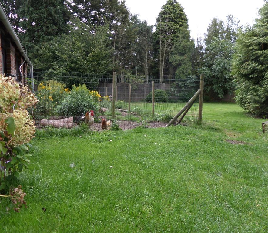 Villa Bijenhof Varsenare Bilik gambar
