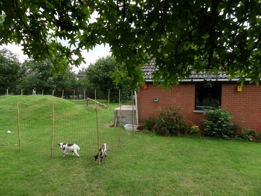 Villa Bijenhof Varsenare Bilik gambar